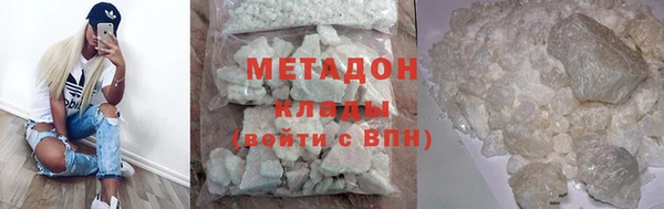 прущие грибы Богданович