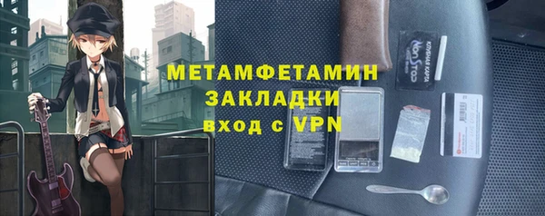 прущие грибы Богданович