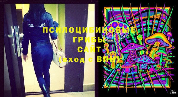 дмт Богородицк
