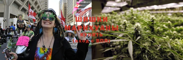 PSILOCYBIN Богородск