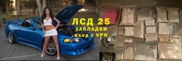 прущие грибы Богданович