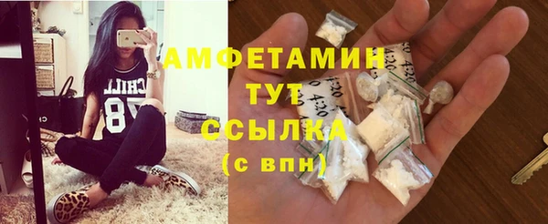дмт Богородицк