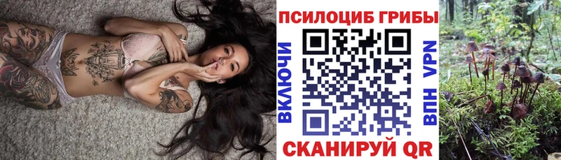 Галлюциногенные грибы Magic Shrooms  Новосокольники 